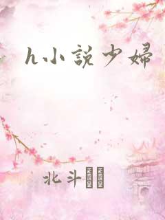h小说少妇