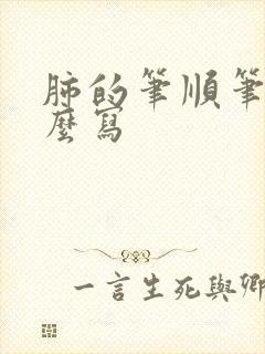 肺的笔顺笔画怎么写