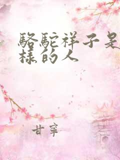 骆驼祥子是什么样的人