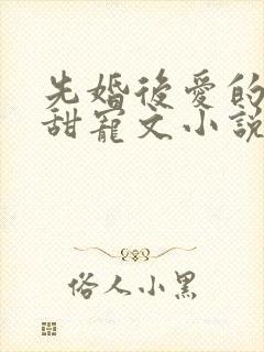 先婚后爱的古言甜宠文小说