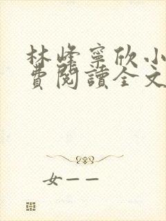 林峰宁欣小说免费阅读全文最新章节宁饮