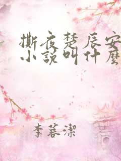 撕夜楚辰安原著小说叫什么