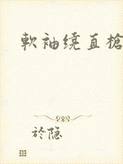 软袖绕直枪