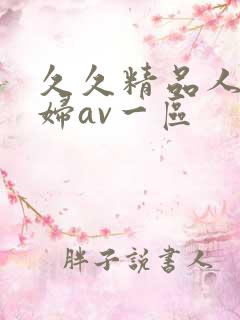 久久精品人妻少妇av一区