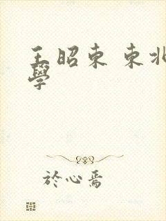 王昭东 东北大学