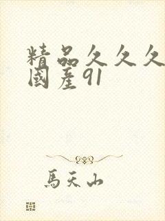 精品久久久久久国产91