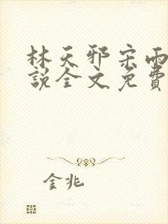 林天邪宋雨嫣小说全文免费阅读