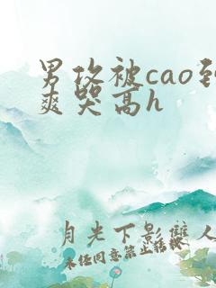 男攻被cao到爽哭高h