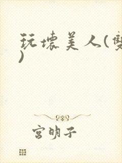 玩坏美人(双性)