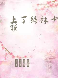 上了丝袜少妇小说