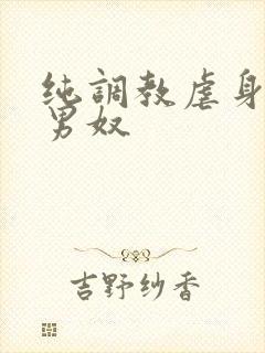 纯调教虐身惩罚男奴