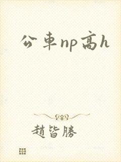 公车np高h