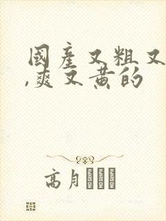 国产又粗又猛又,爽又黄的