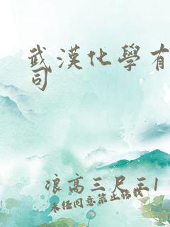 武汉化学有限公司