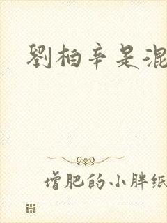 刘柏辛是混血吗