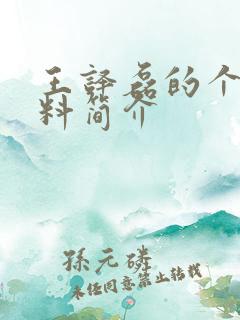 王译磊的个人资料简介