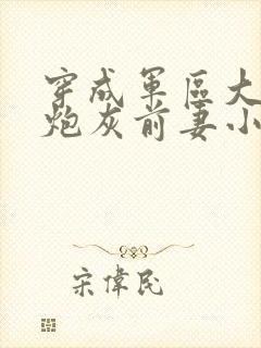 穿成军区大佬的炮灰前妻小说