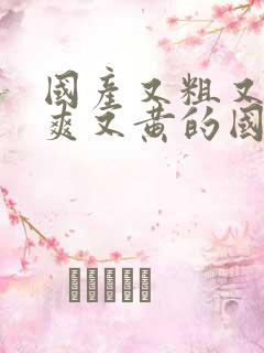 国产又粗又猛又爽又黄的国