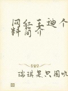 网红王迪个人资料简介