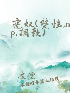 寝奴(双性,np,调教)