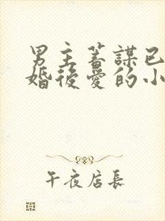 男主蓄谋已久先婚后爱的小甜文