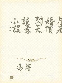 小说 闪婚厚爱:误惹天价老公