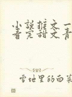 小说推文一口气看完甜文青梅竹马