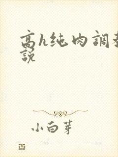 高h纯肉调教小说