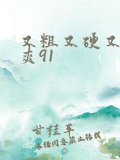 又粗又硬又大又爽91