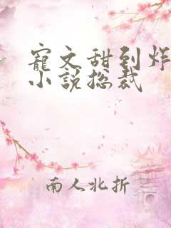 宠文甜到炸无虐小说总裁