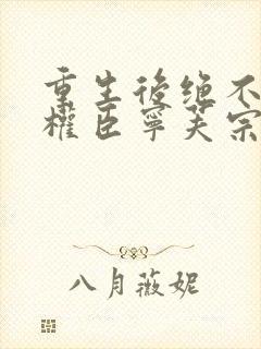 重生后绝不嫁给权臣宁芙宗肆全本阅读