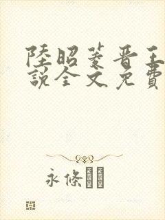 陆昭菱晋王的小说全文免费阅读