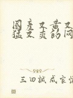 国产又黄又粗又猛又爽的网址