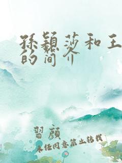 孙颖莎和王楚钦的简介