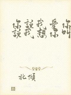 你说我爱你,你说我想你叫什么歌?