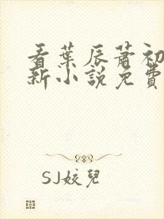 看叶辰萧初然更新小说免费全集