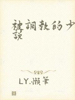 被调教的少妇小说