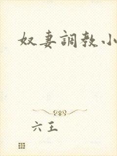 奴妻调教小说h