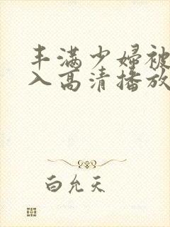 丰满少妇被猛进入高清播放