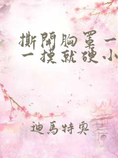 撕开胸罩一边亲一摸就硬小说