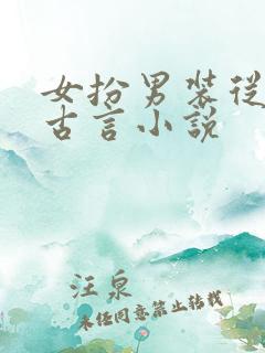 女扮男装从军的古言小说