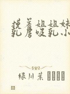 摸着姐姐妹妹的乳房吸乳小说