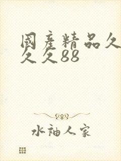 国产精品久久久久久88