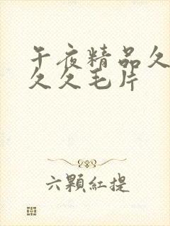 午夜精品久久久久久毛片