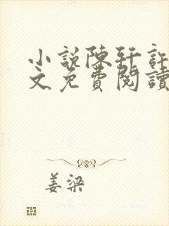 小说陈轩许静全文免费阅读