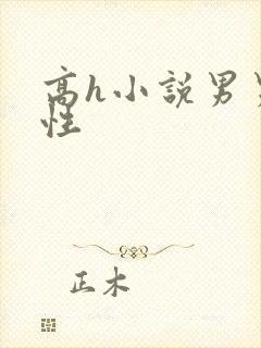 高h小说男男双性