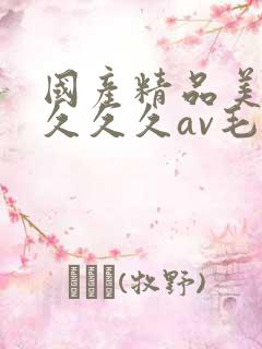 国产精品美女久久久久av毛片