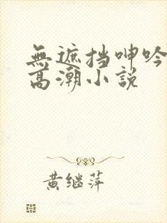 无遮挡呻吟娇喘高潮小说