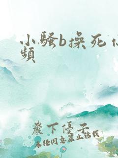 小骚b操死你视频