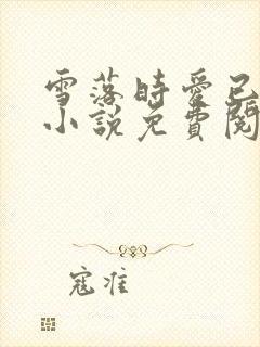 雪落时爱已落幕小说免费阅读